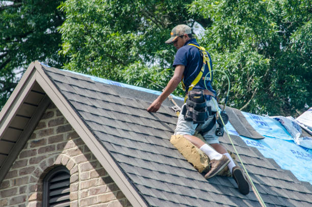 Roof Gutter Cleaning in Littleton Common, MA